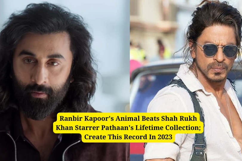 Ranbir Kapoor's Animal Beats Shah Rukh Khan Starrer Pathaan's Lifetime Collection; Create This Record In 2023